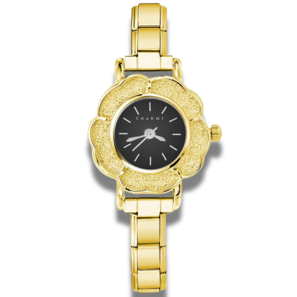 Montre Charms offerte