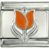Tulipe néerlandaise