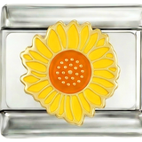 Wird noch hinzugefügt - Goldene Sonnenblume