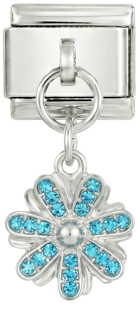 Image de la diapositive